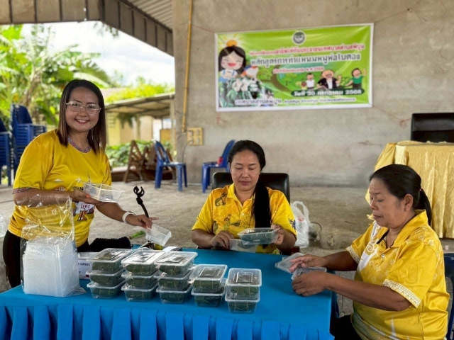  วันพุธที่ 30 กรกฎาคม 2568  โครงการฝึกอบรมอาชีพให้กับประชาชน เทศบาลตำบลพิปูน "หลักสูตรการทำหมูห่อใบตอง" ประจำปีงบประมาณ พ.ศ. 2568   ณ สำนักงานเทศบาลตำบลพิปูน 
